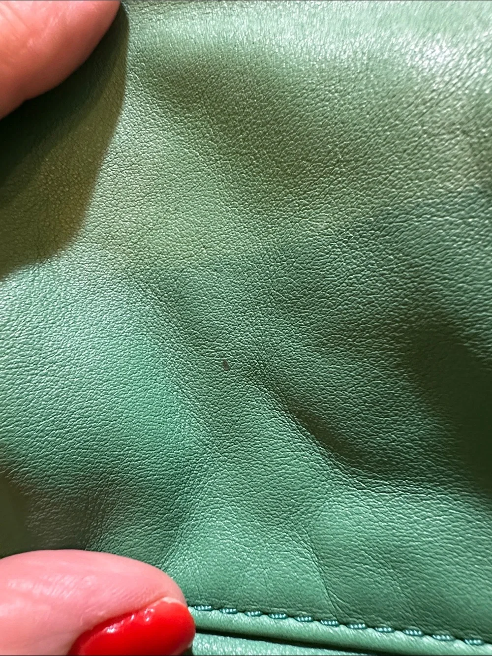 Banana Republic Green Perforated Shoulder Bag with Gold-Tone Hardware